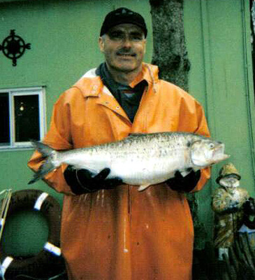 236_American Shad_Alosa sapidissima.jpg